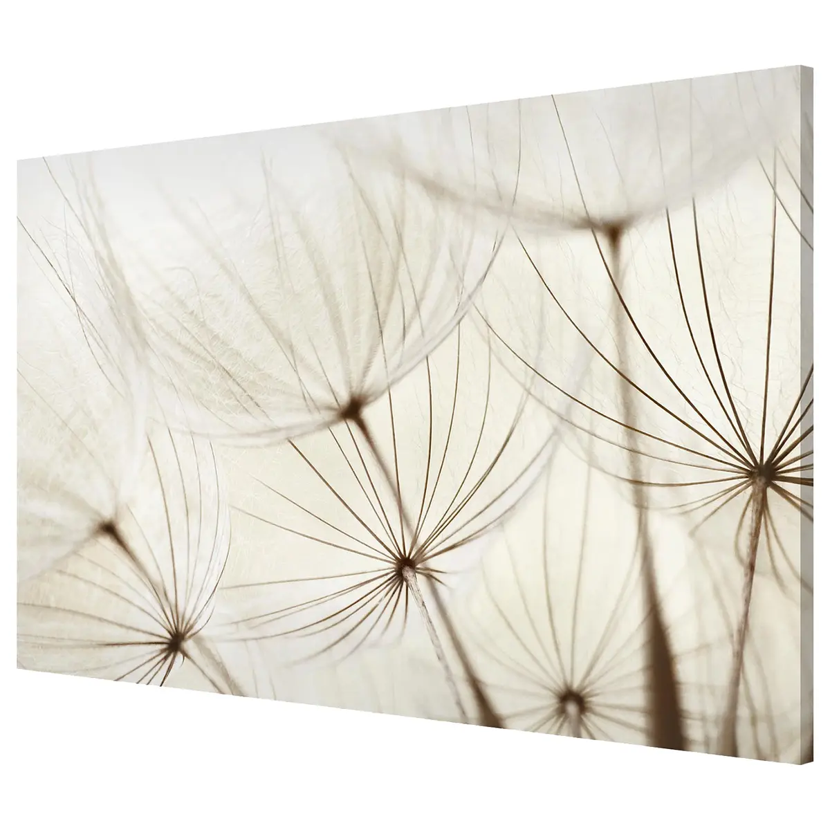 Magnettafel Sanfte Gräser | Beige
