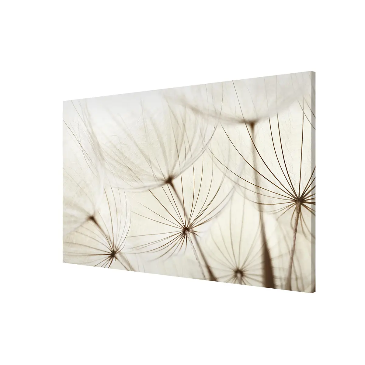 Magnettafel Sanfte Gräser | Beige