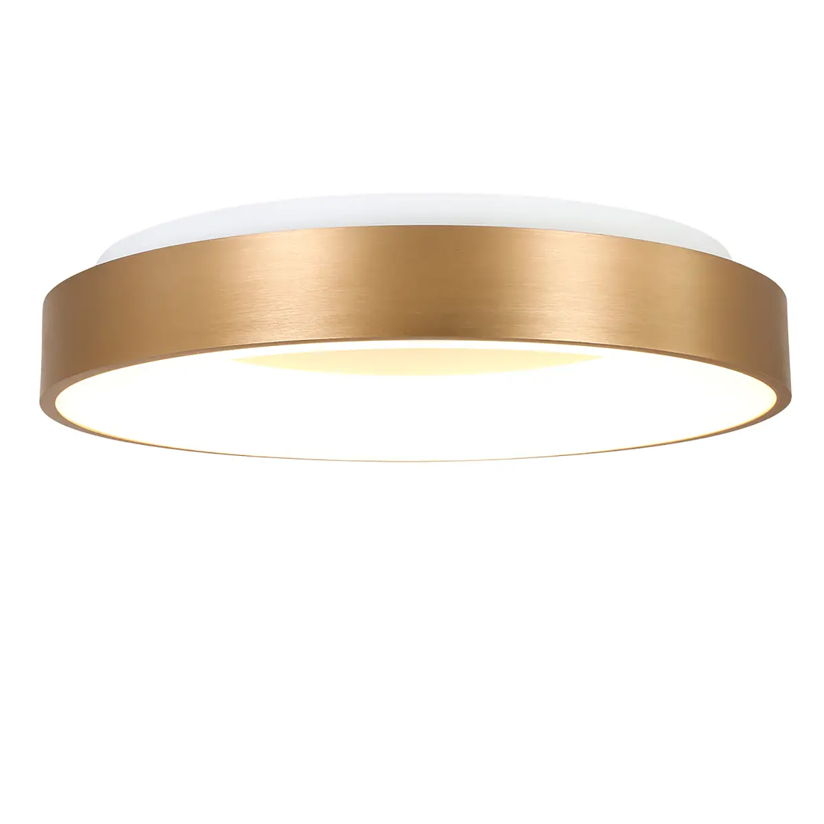 LED-Deckenleuchte Ringlede | Mehrfarbig