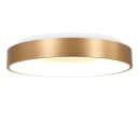 LED-Deckenleuchte Ringlede | Mehrfarbig