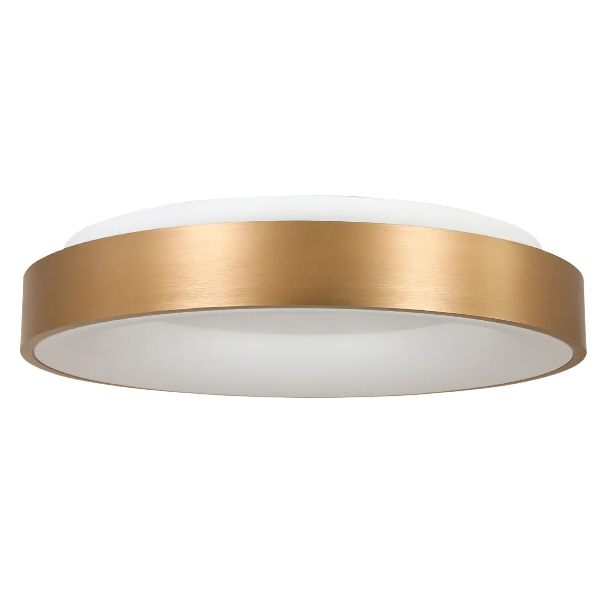 LED-Deckenleuchte Ringlede | Mehrfarbig