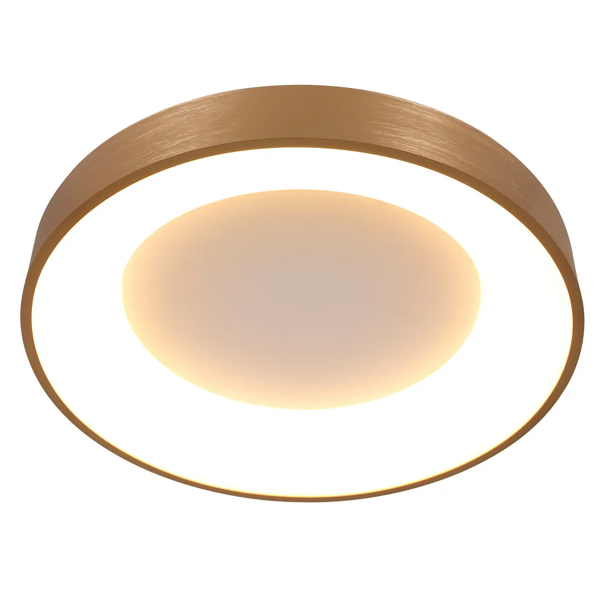 LED-Deckenleuchte Ringlede | Mehrfarbig
