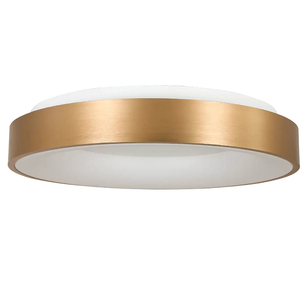 LED-Deckenleuchte Ringlede | Mehrfarbig