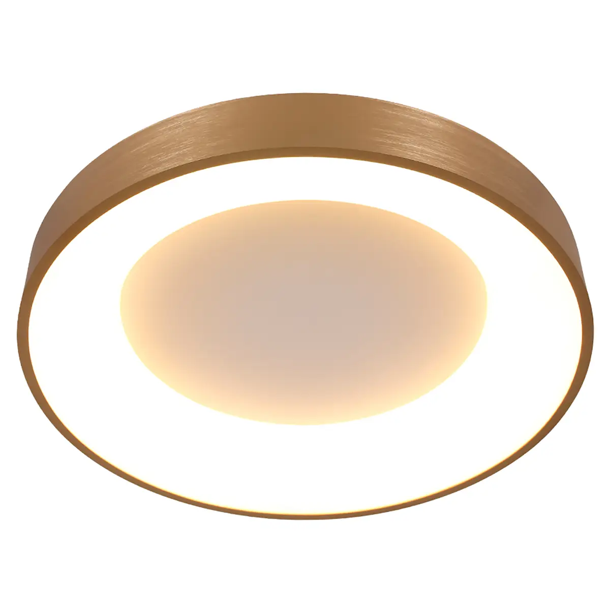 LED-Deckenleuchte Ringlede | Mehrfarbig