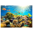 Vlies Fototapete Underwater Land | Mehrfarbig
