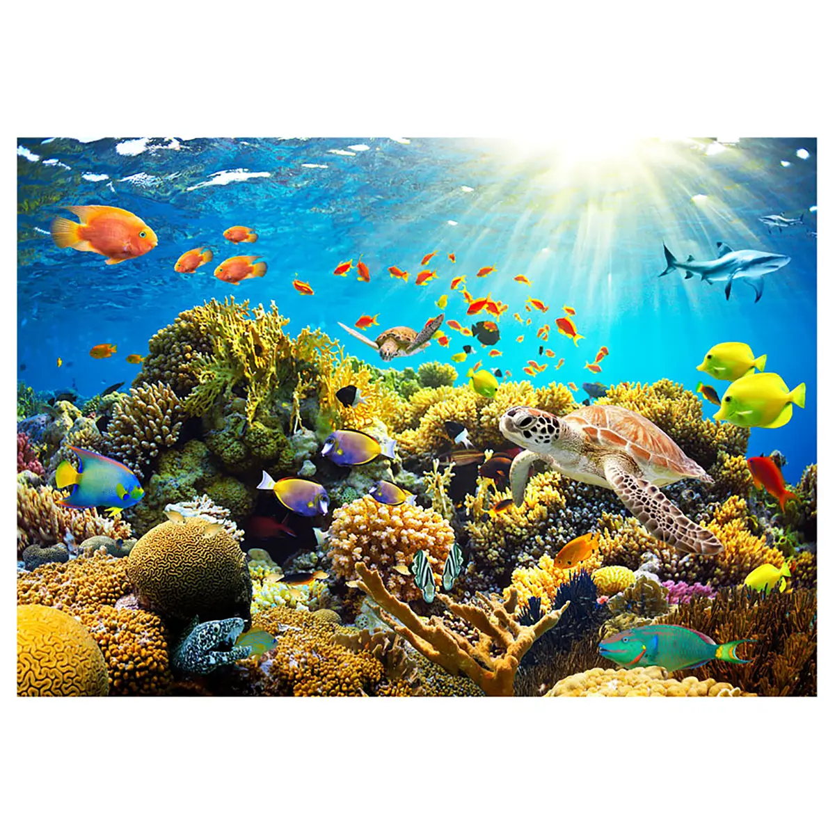 Vlies Fototapete Underwater Land | Mehrfarbig