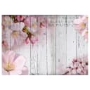 Vlies Fototapete Apple Blossoms | Pink