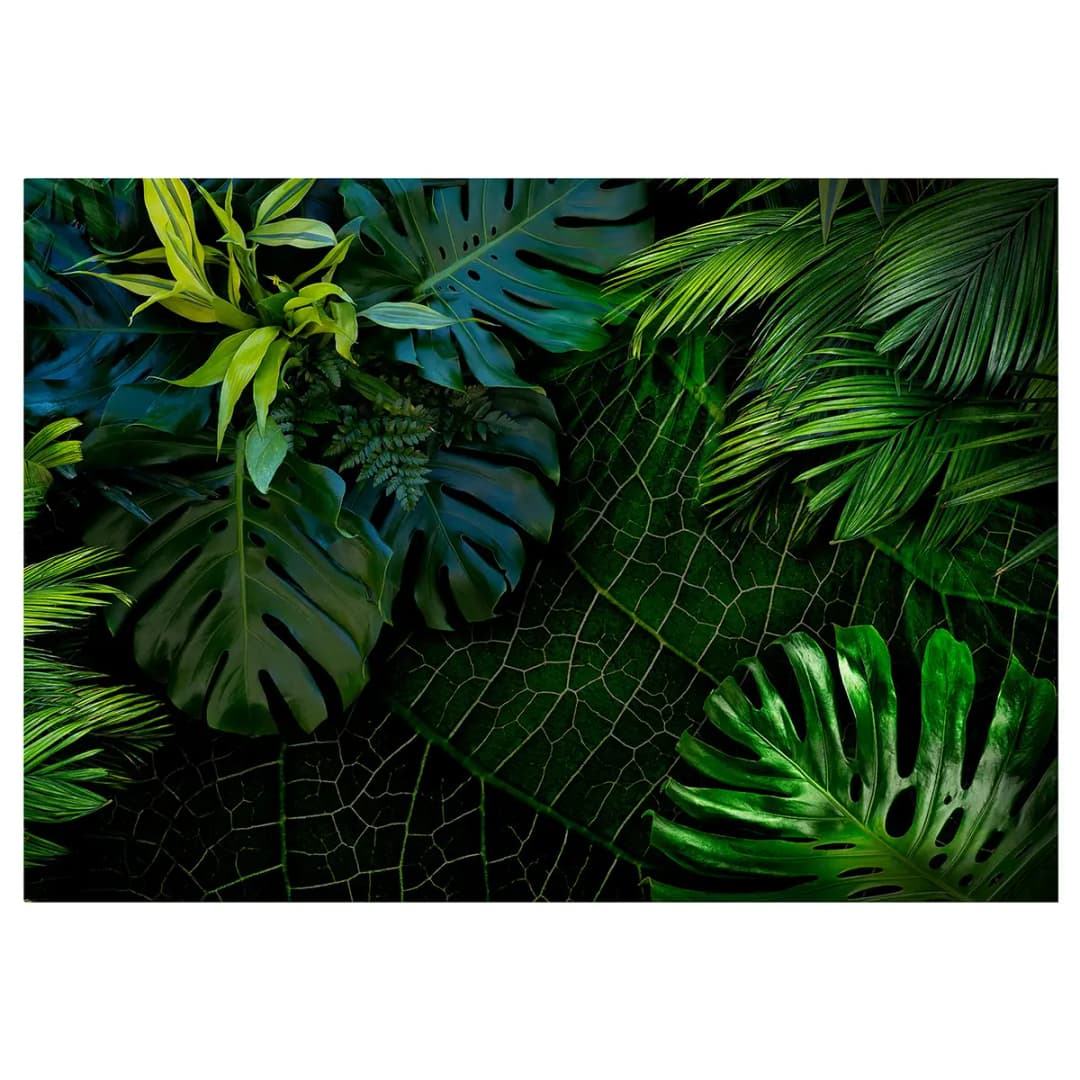 Vliestapete Darl Jungle | Grün
