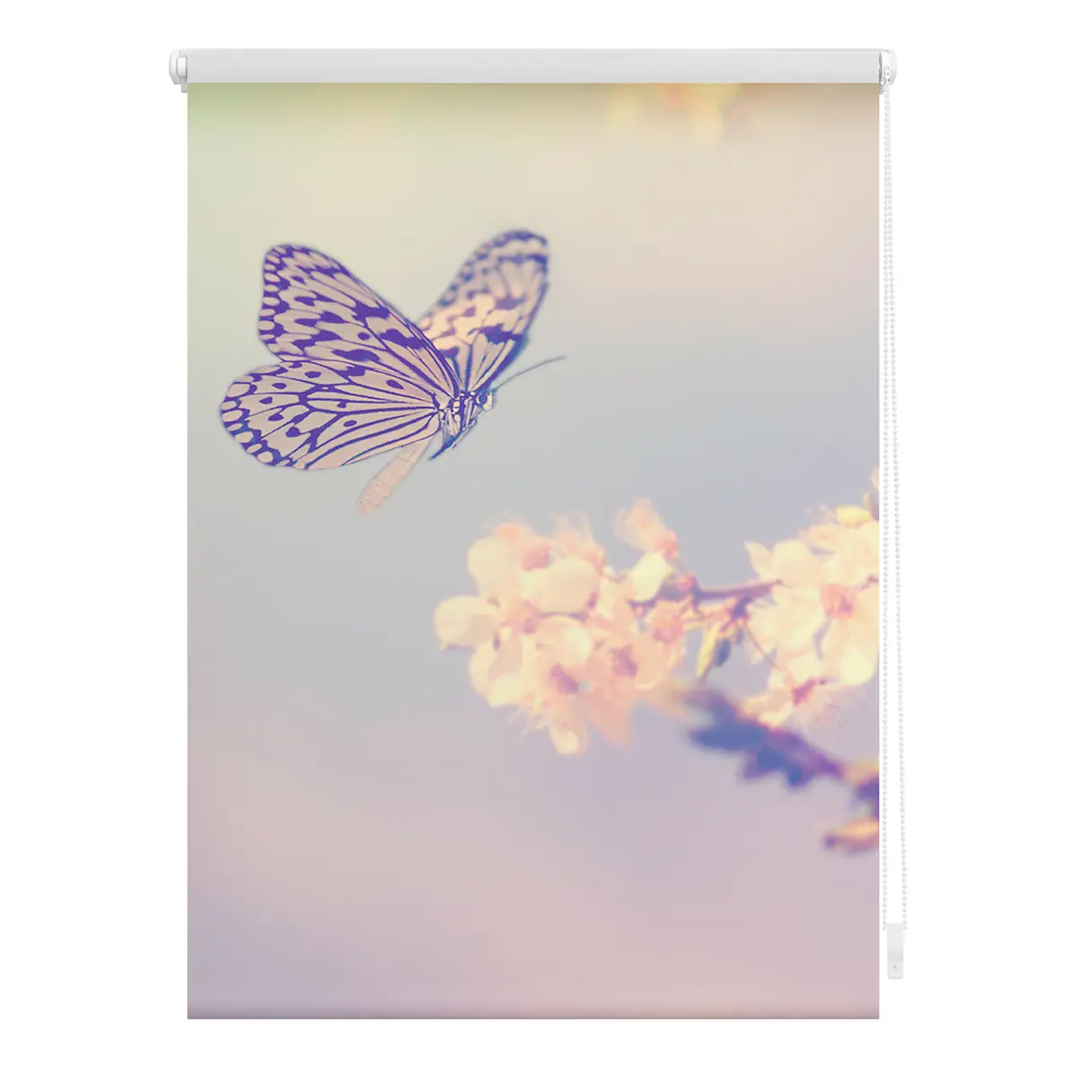 Klemmfix Verdunklungsrollo Schmetterling | Lila