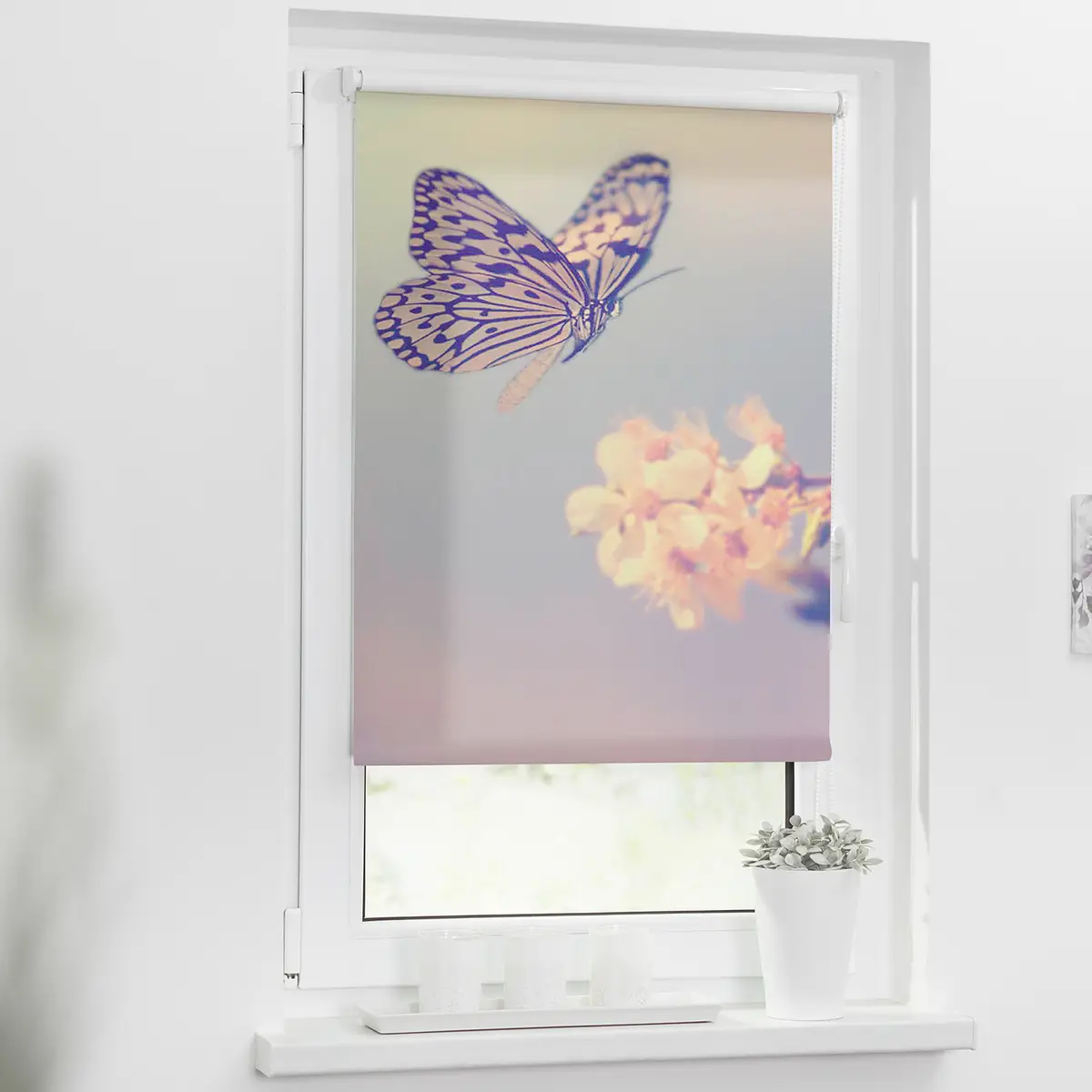 Klemmfix Verdunklungsrollo Schmetterling | Lila