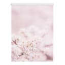 Klemmfix Verdunklungsrollo Kirschblüten | Pink