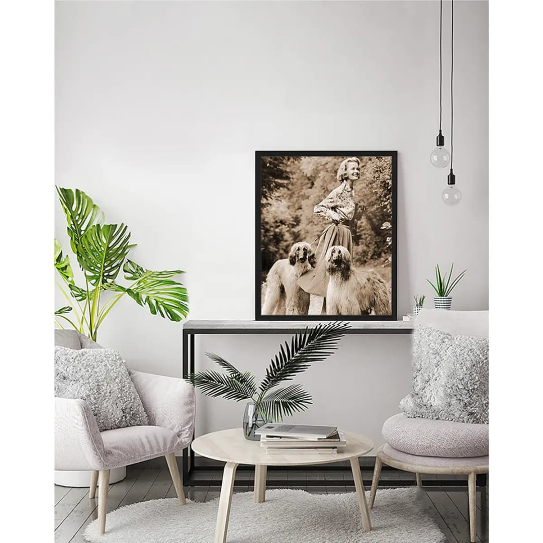 Bild With the dogs | Braun