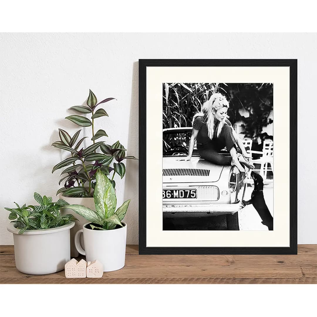 Bild Brigitte Bardot I | Schwarz