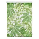 Klemmfix Rollo Blätter | Grün