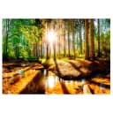Fototapete Marvelous Forest | Mehrfarbig