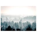 Fototapete Winter Forest | Grau