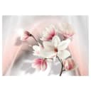Fototapete White Magnolias | Weiß