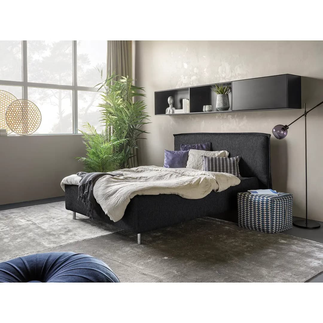 Polsterbett Homely 160 x 200cm | Grau