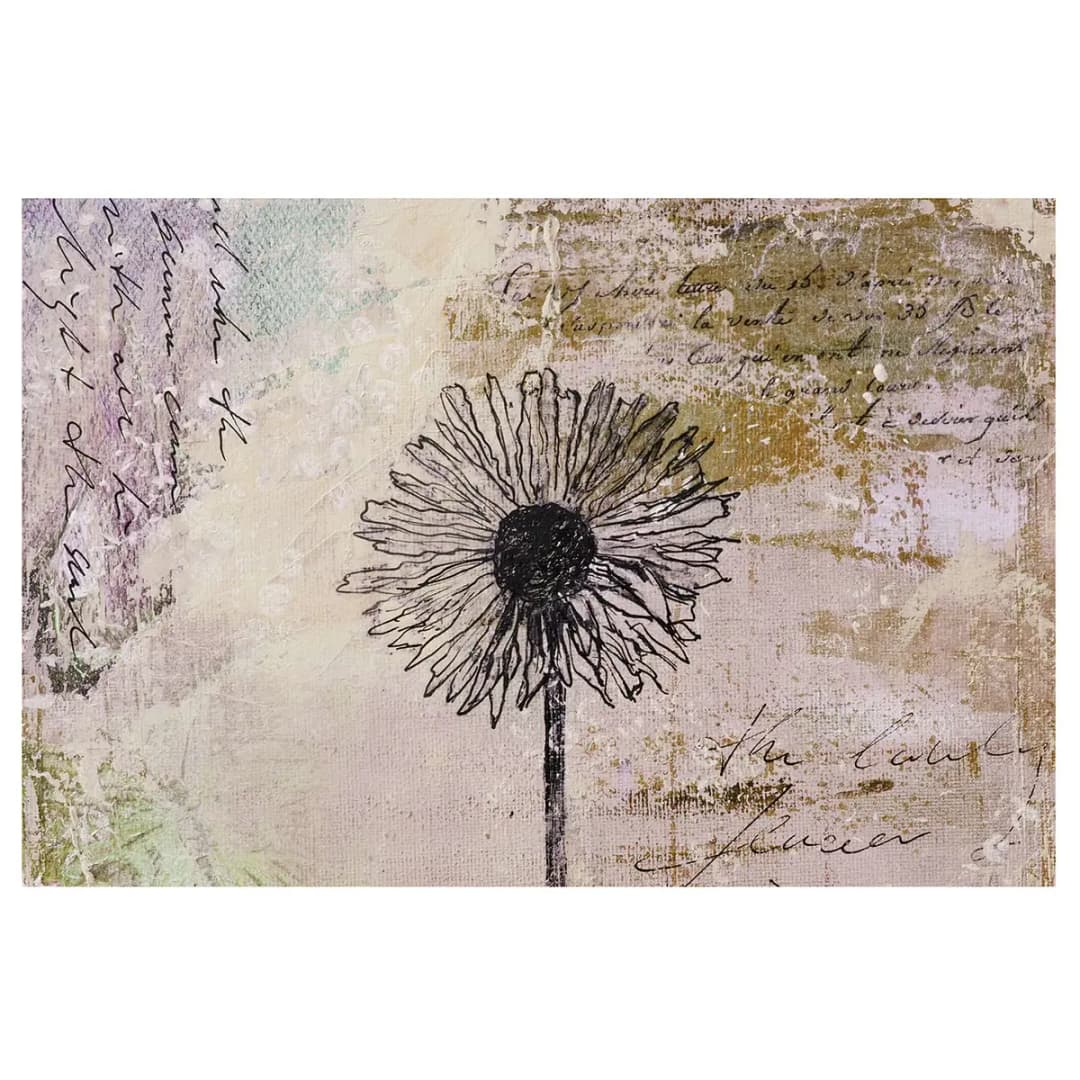Vliestapete Shabby Pusteblume | Braun