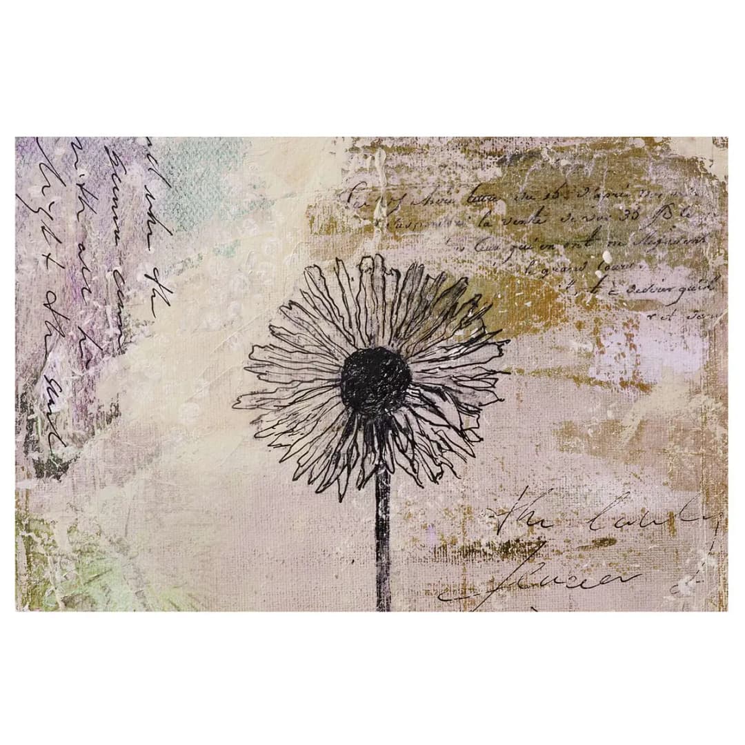 Vliestapete Shabby Pusteblume | Braun