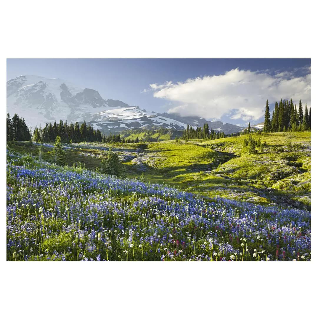 Vliestapete Bergwiese mit Blumen | Grün