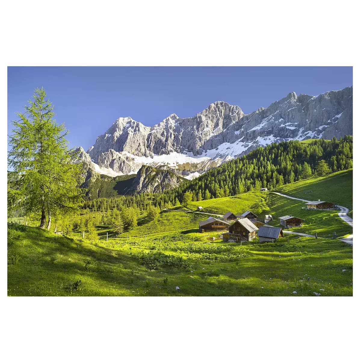 Vliestapete Steiermark Almwiese | Grün