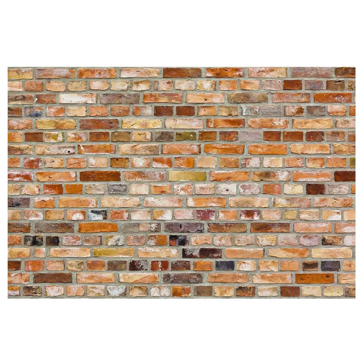 Vliestapete Colours of the Wall | Rot