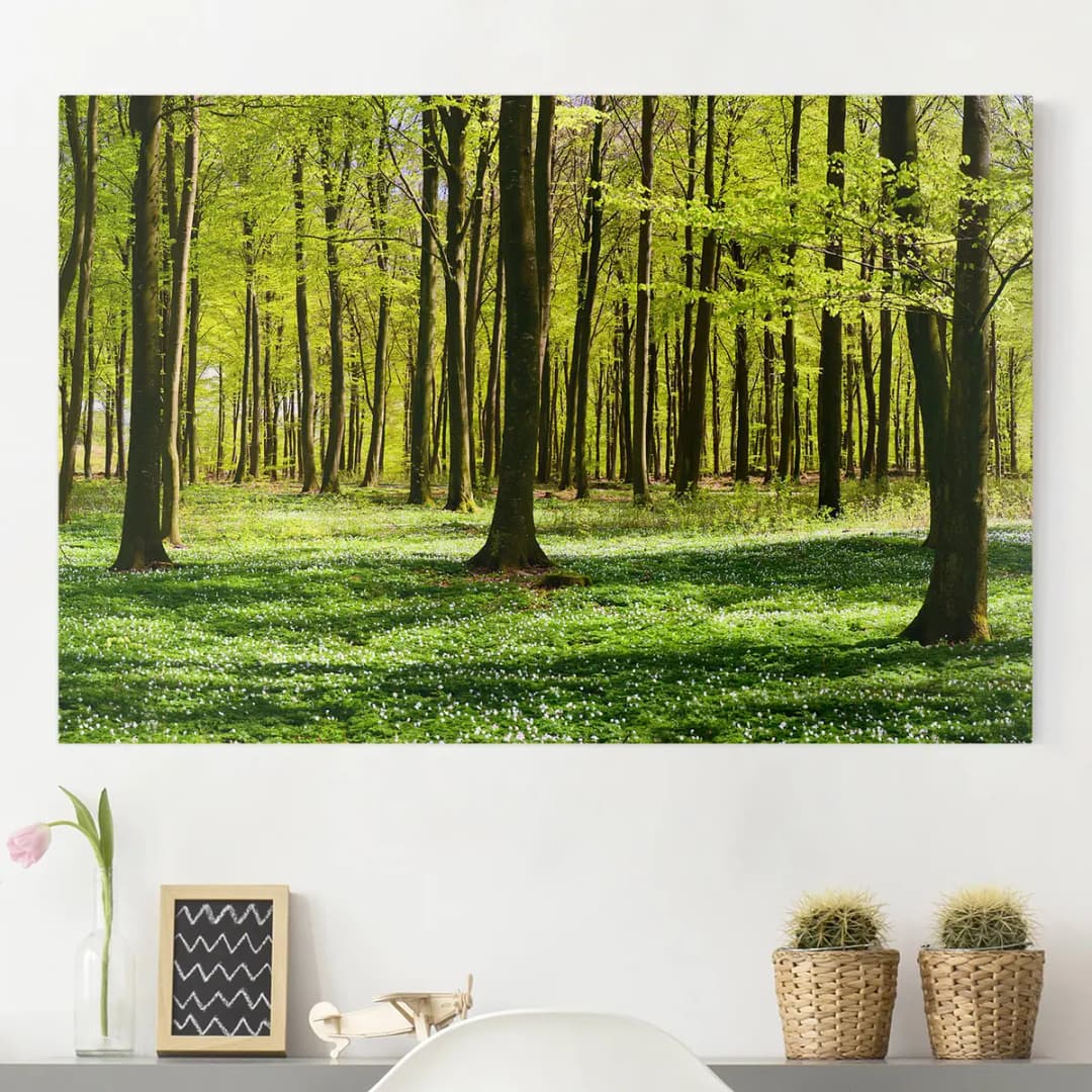 Leinwandbild Waldwiese I | Grün