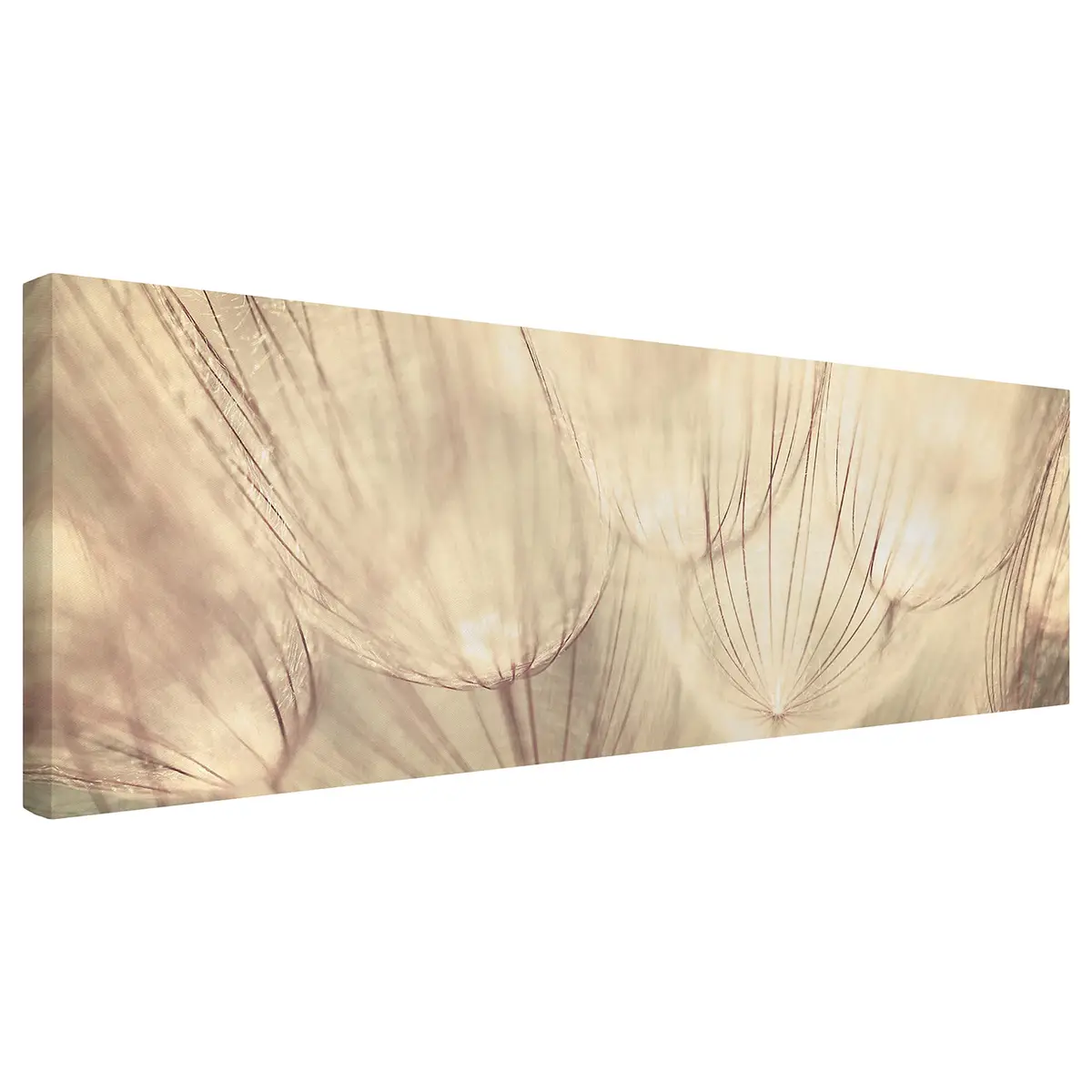 Leinwandbild Pusteblumen I | Beige