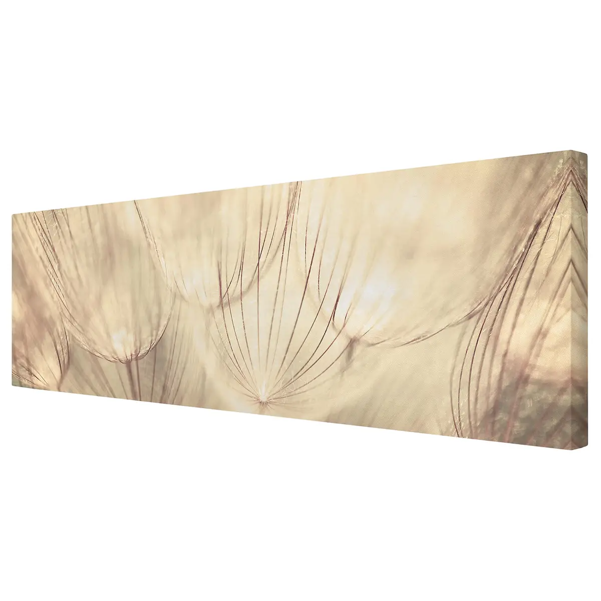 Leinwandbild Pusteblumen I | Beige