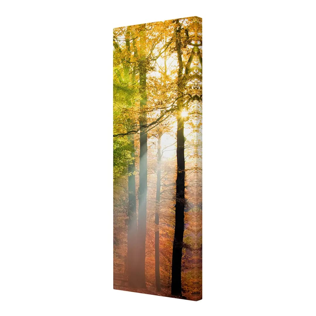 Leinwandbild Morning Light I | Orange