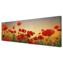 Leinwandbild Mohnblumenfeld I | Rot