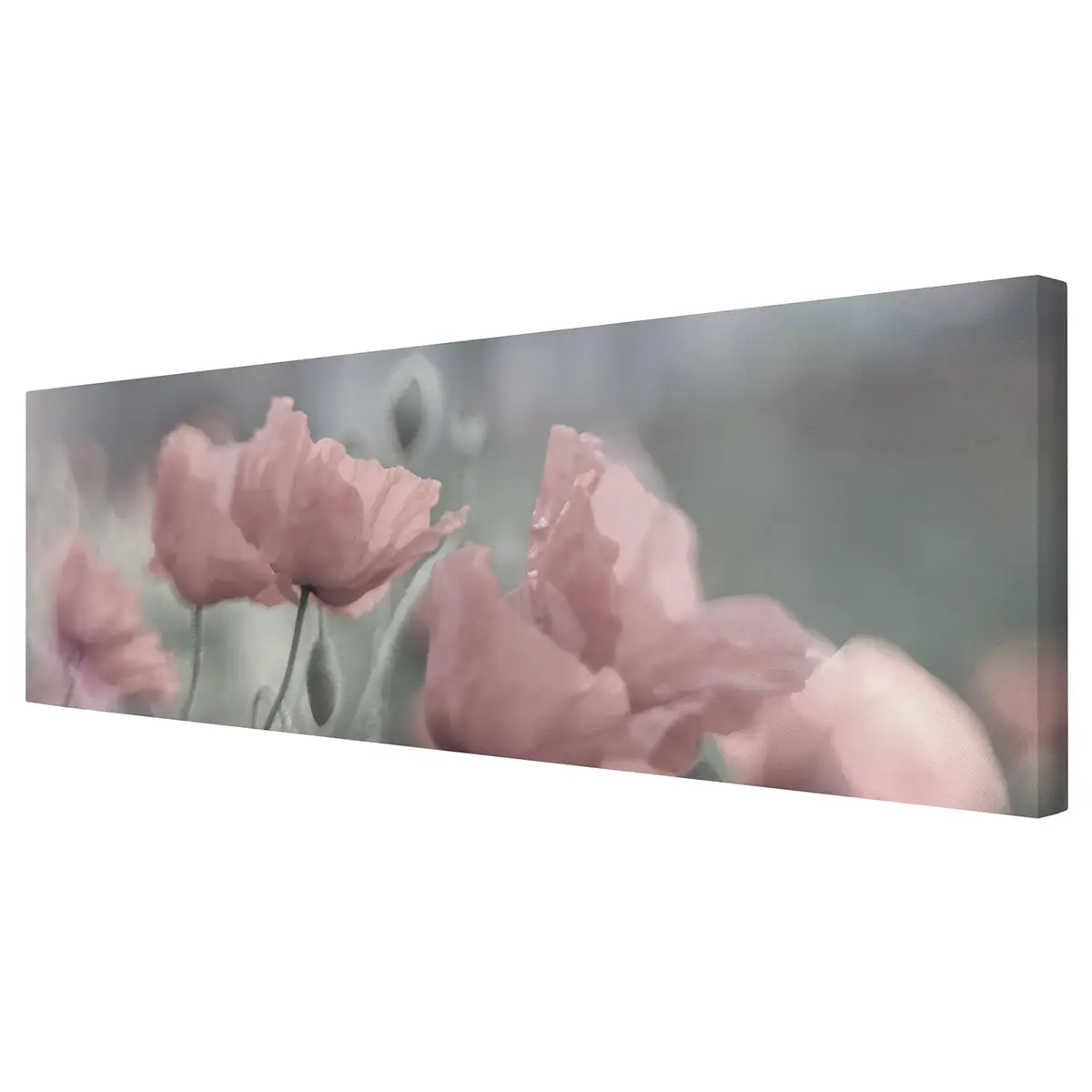 Leinwandbild Malerische Mohnblumen I | Pink