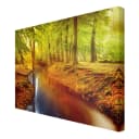 Leinwandbild Herbstwald II | Orange