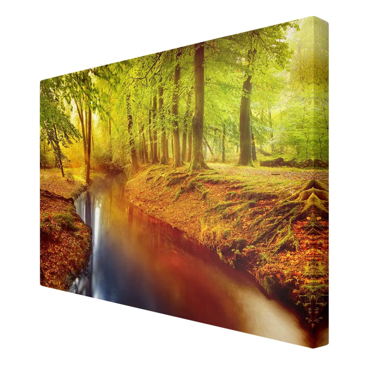 Leinwandbild Herbstwald II | Orange