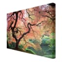 Leinwandbild Japanischer Garten II | Rot