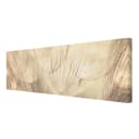 Leinwandbild Pusteblumen II | Beige