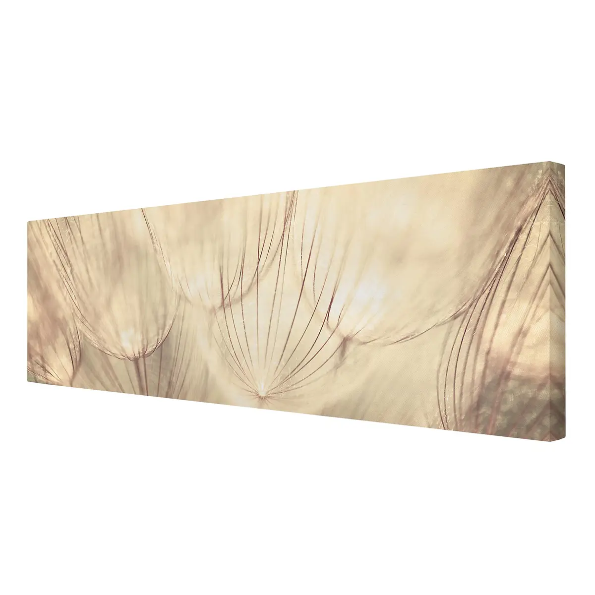 Leinwandbild Pusteblumen II | Beige