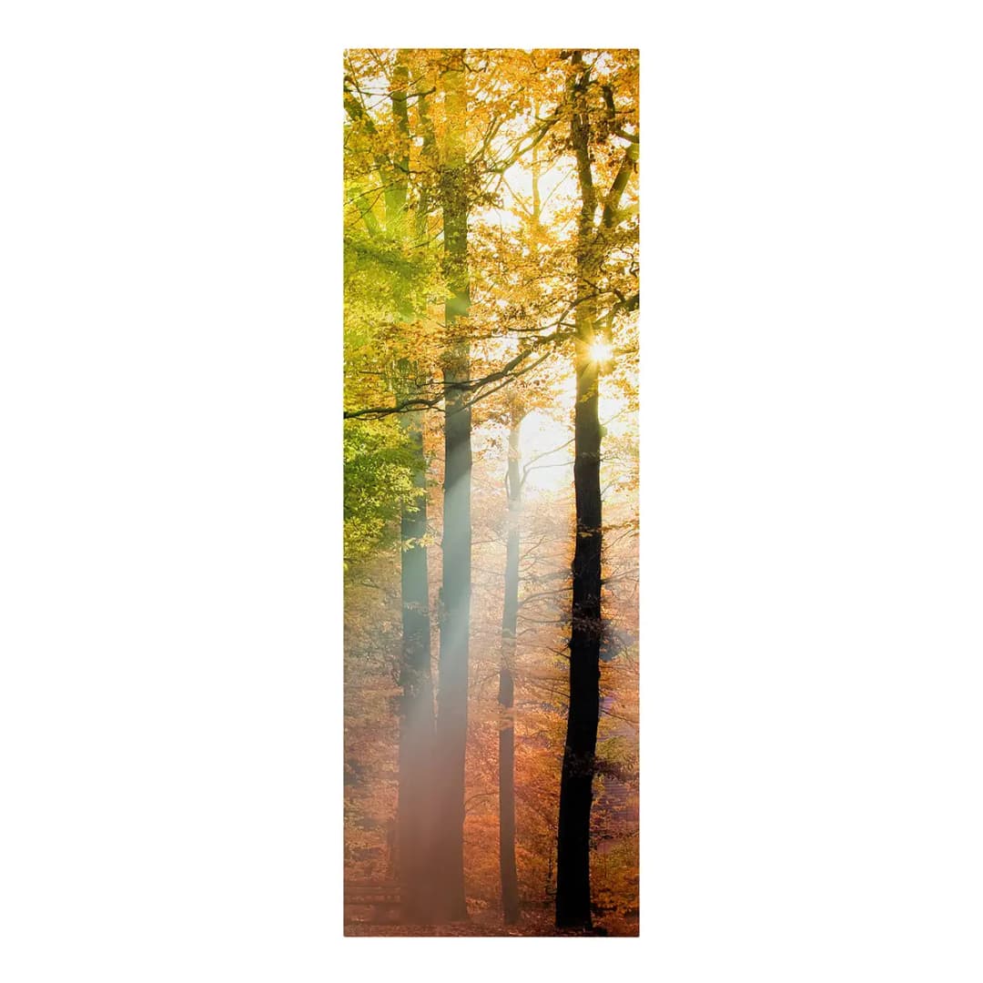 Leinwandbild Morning Light II | Orange