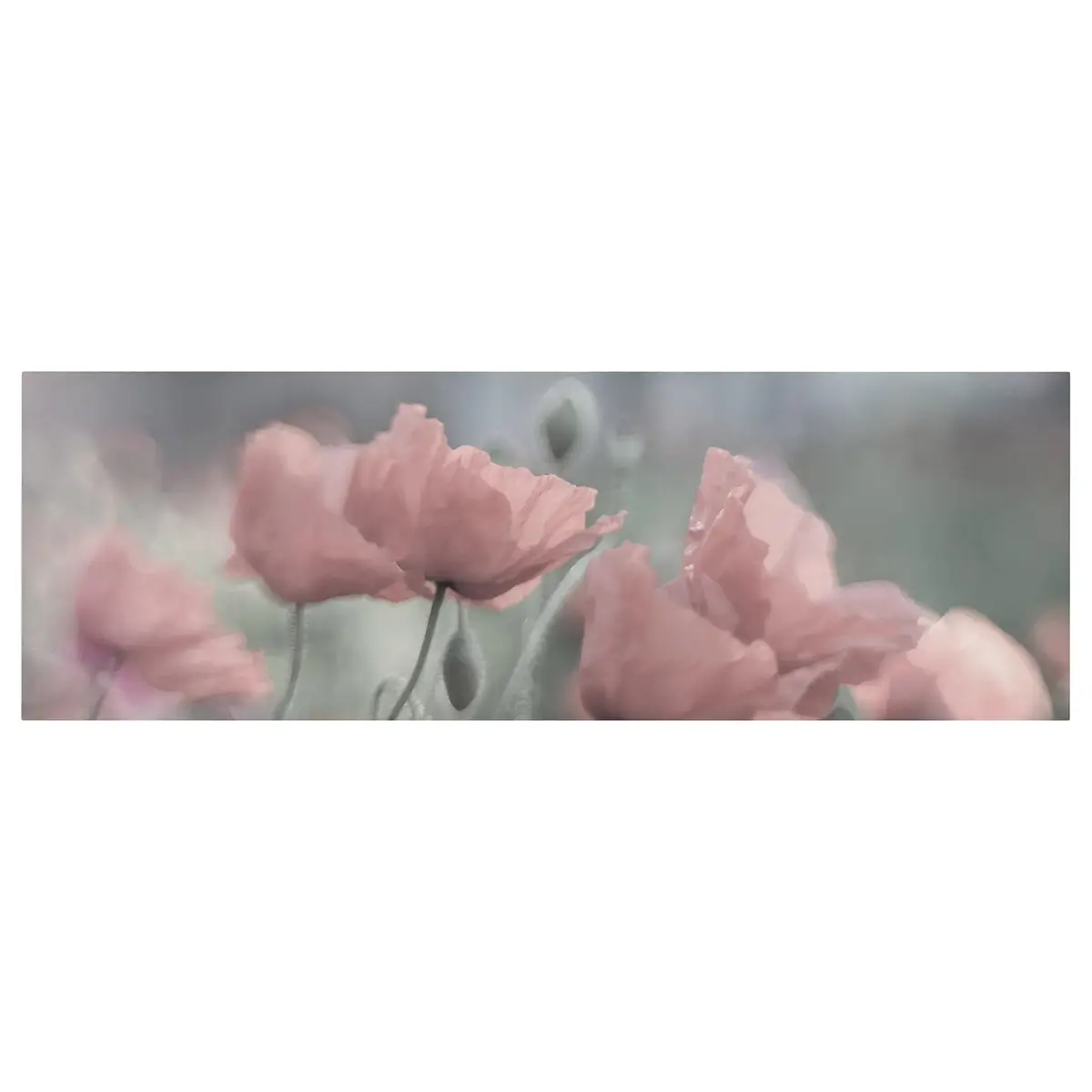 Leinwandbild Malerische Mohnblumen II | Pink
