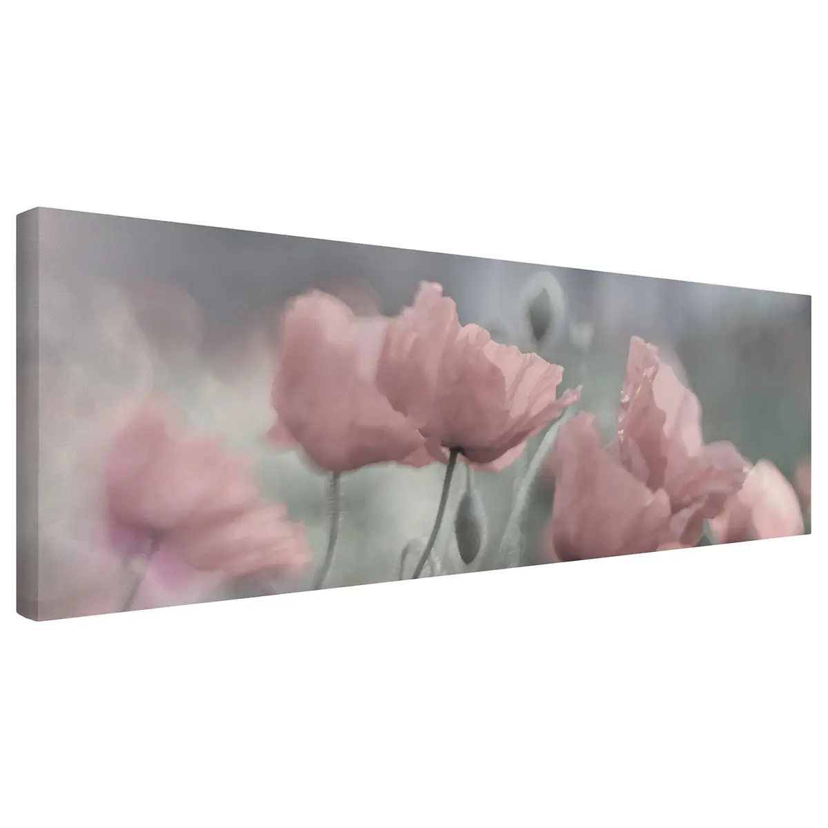 Leinwandbild Malerische Mohnblumen II | Pink