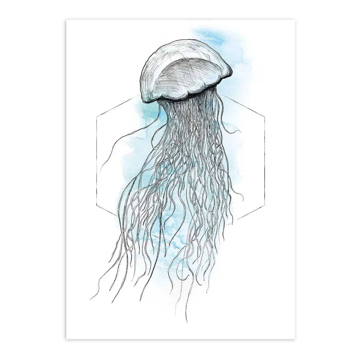 Wandbild Jellyfish | Mehrfarbig