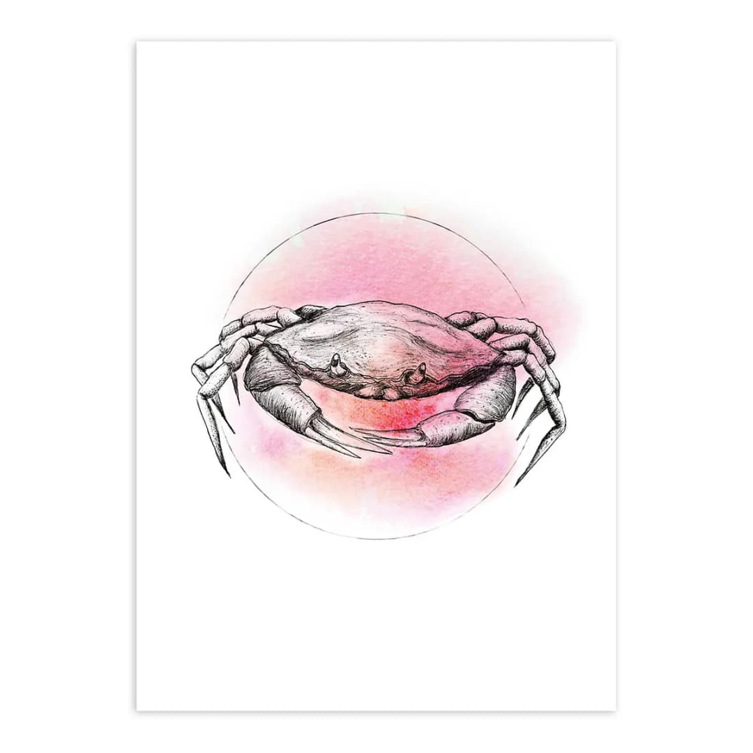 Wandbild Crab | Mehrfarbig