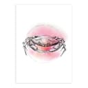 Wandbild Crab | Mehrfarbig