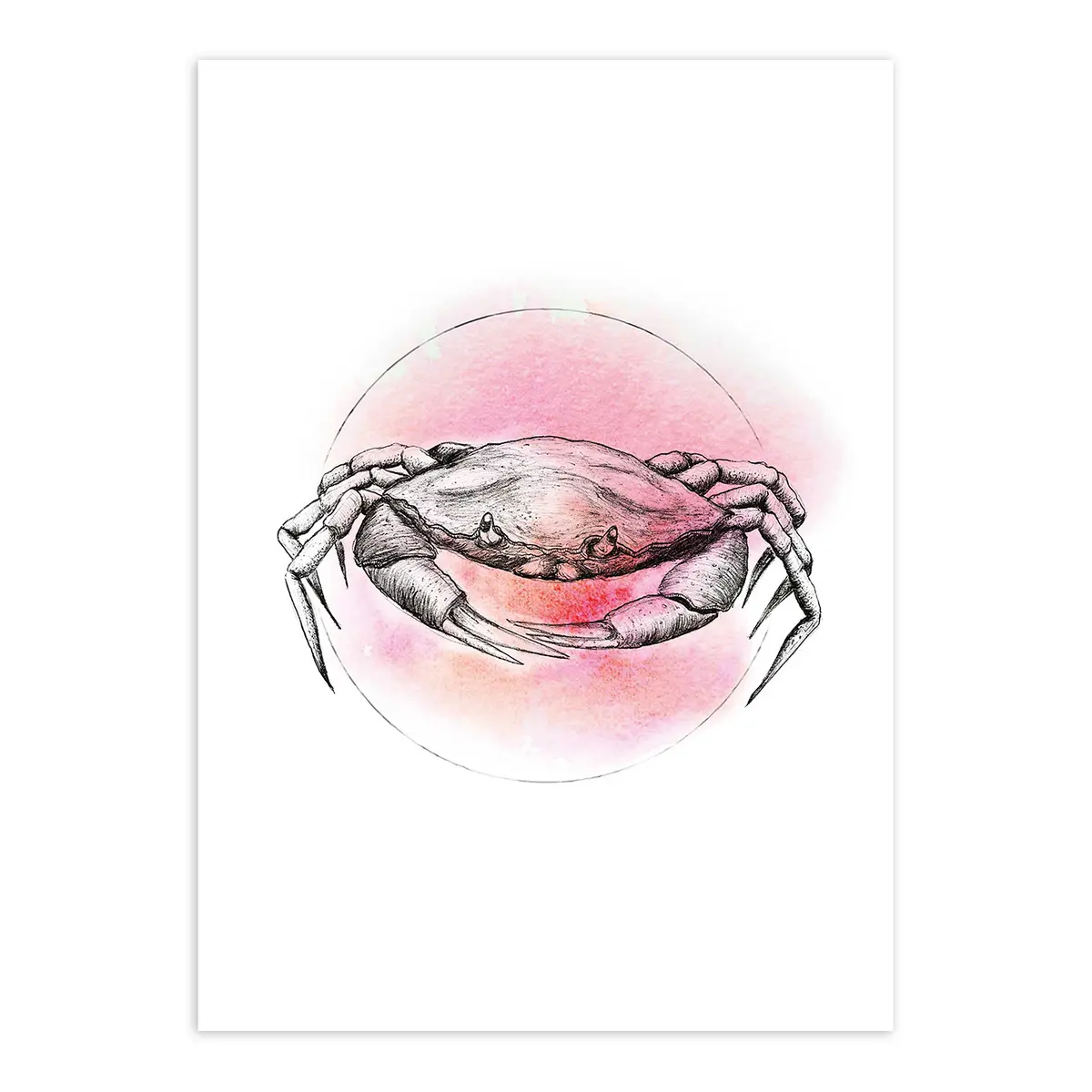 Wandbild Crab | Mehrfarbig