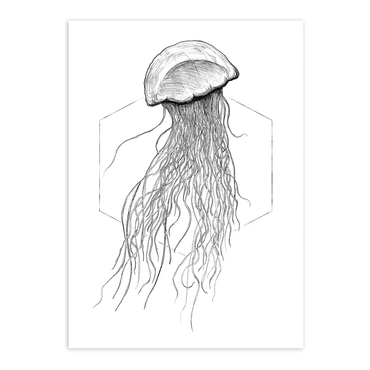 Wandbild Jellyfish | Mehrfarbig