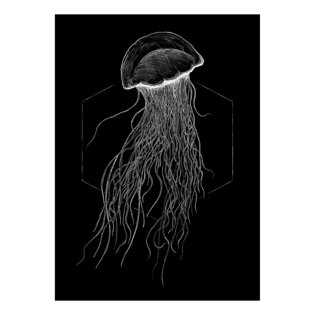 Wandbild Jellyfish | Mehrfarbig