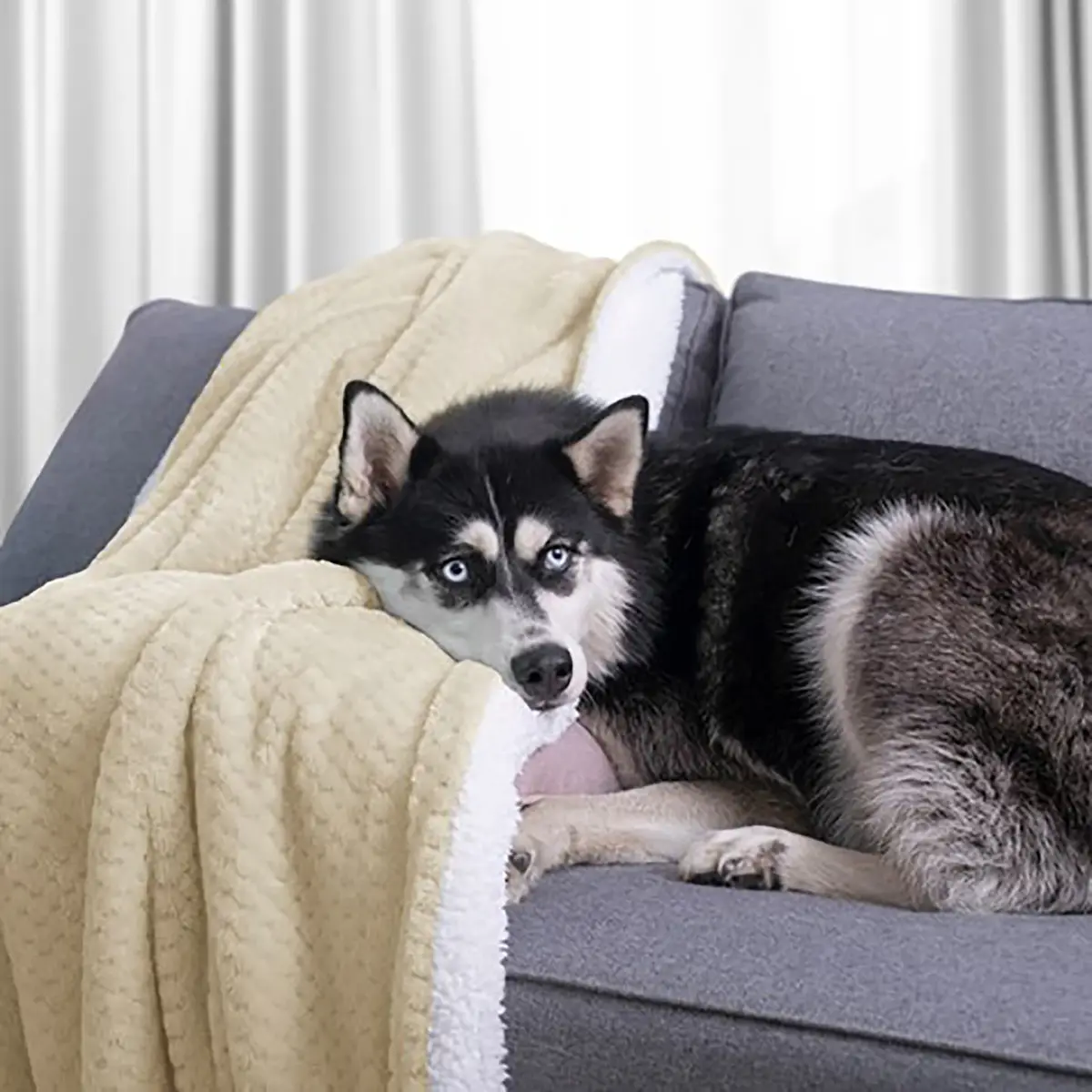 Kuscheldecke Leepy | Beige