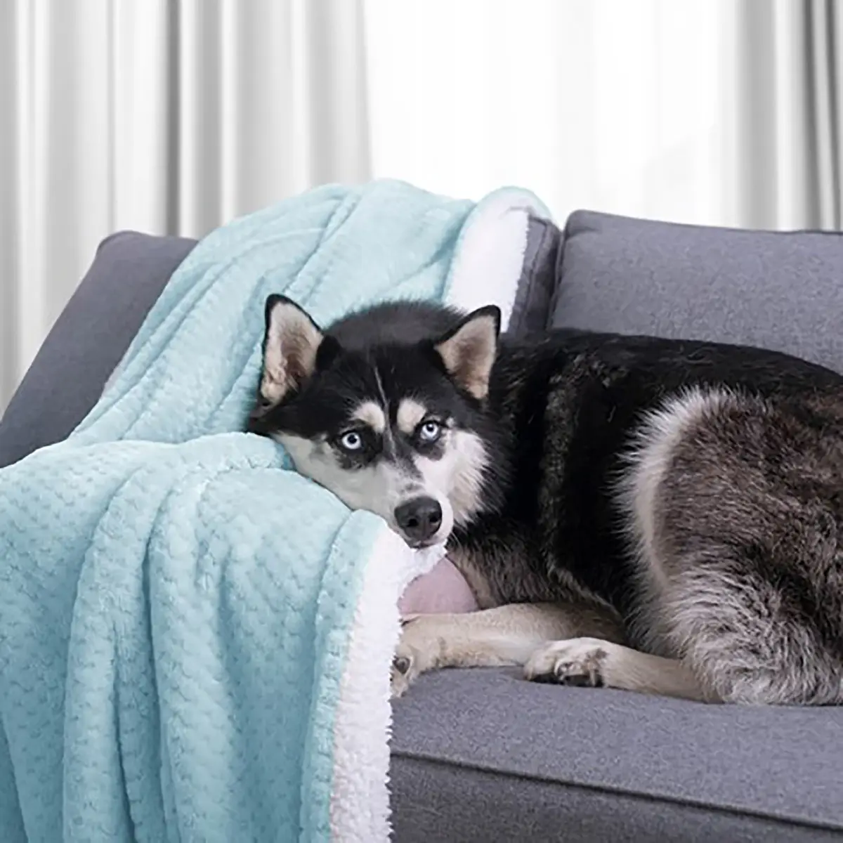 Kuscheldecke Leepy | Blau