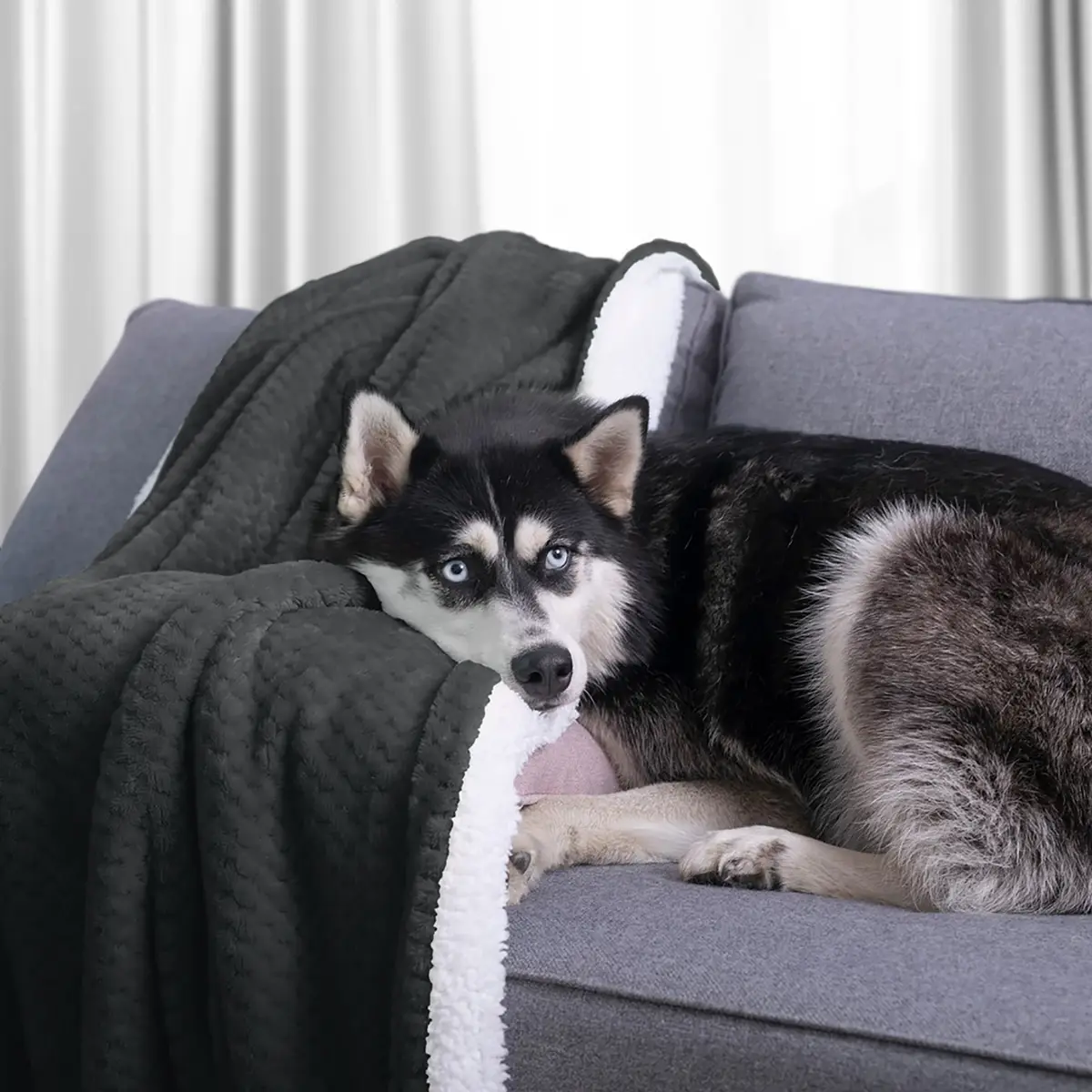 Kuscheldecke Leepy | Grau